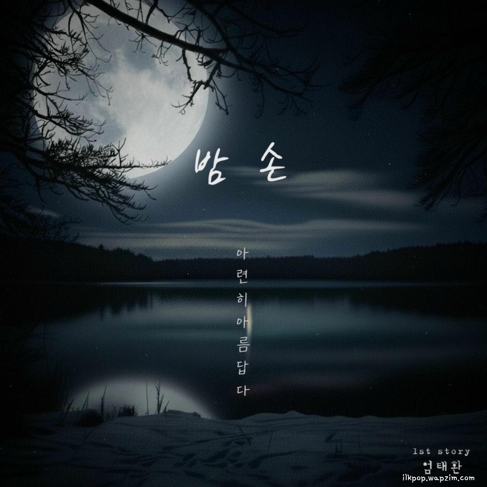 밤손 (아련히 아름답다) (Guest of the Night) by Taehwan Um